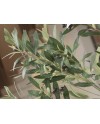 OLIVO- PLANTA ARTIFICIAL H180